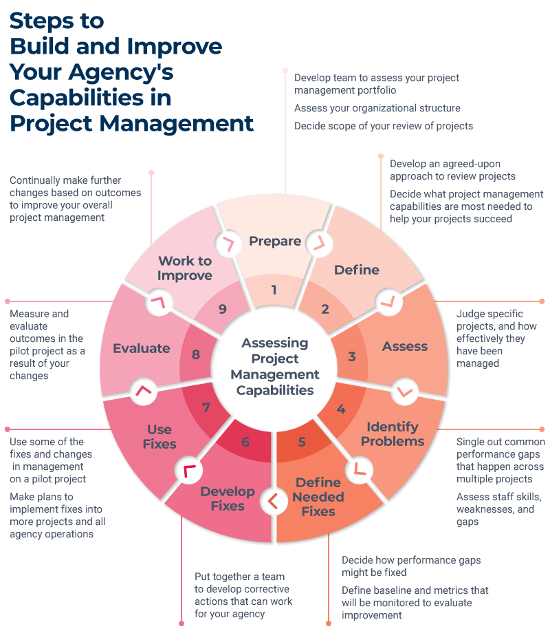 Government Project Management Assess Capabilities