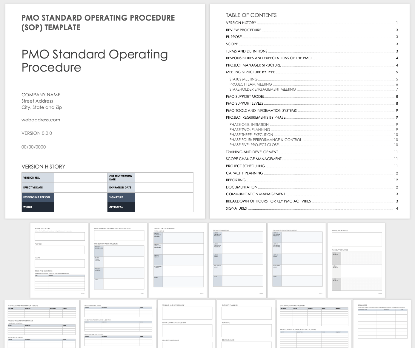 PMO Standard Operating Procedure (SOP) Template