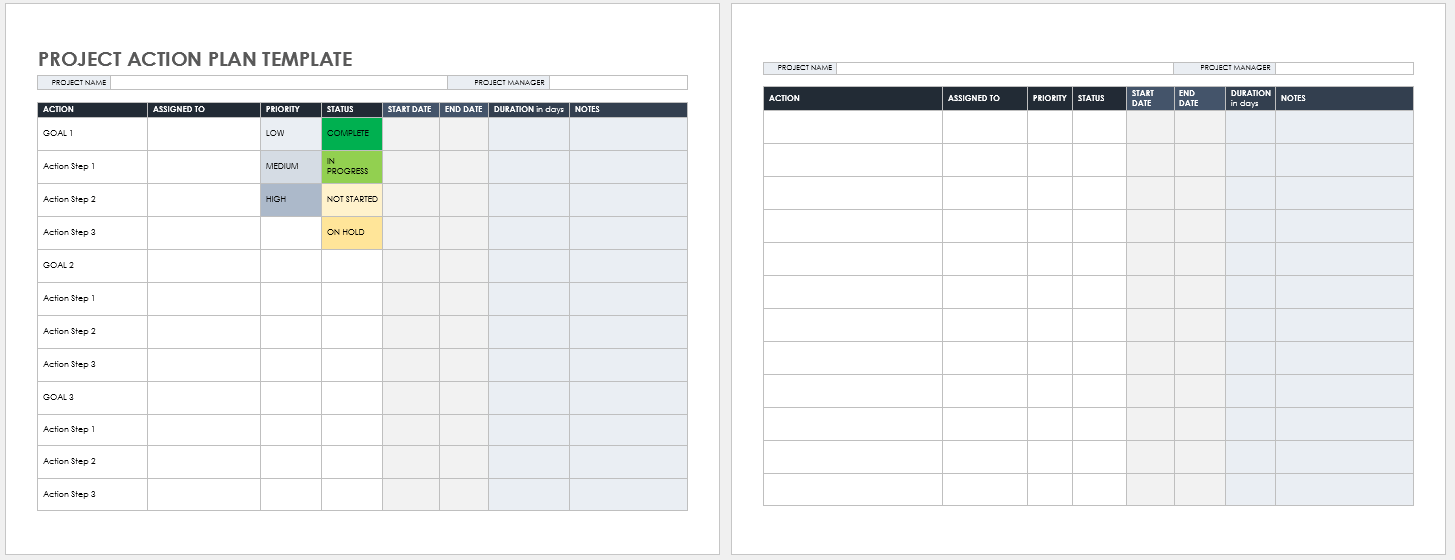 Project Action Plan Template