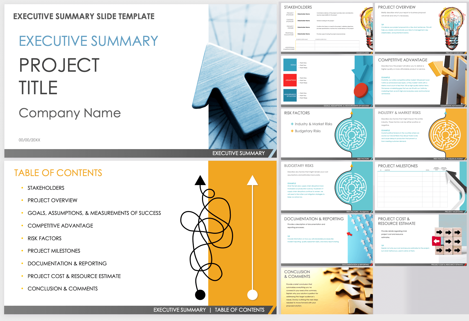 Executive Summary Slide Template