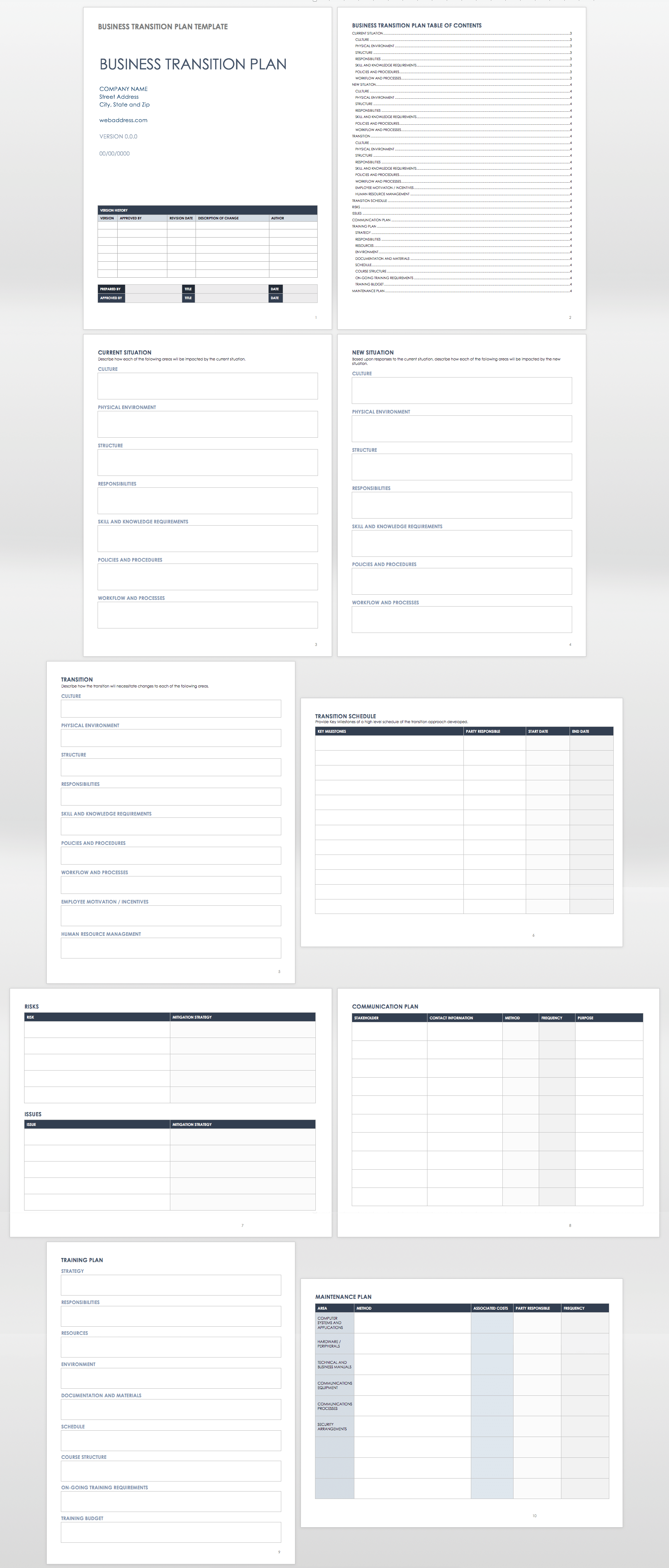 Business Transition Plan Template