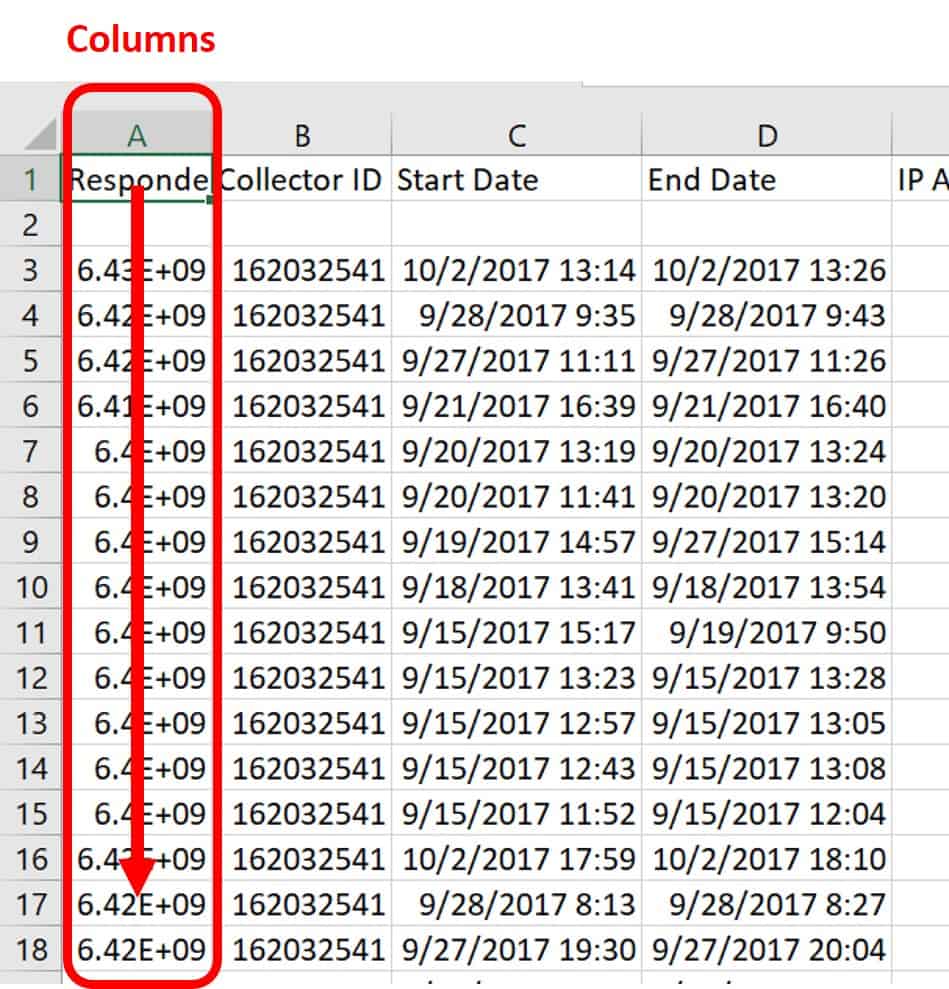 Column Visual