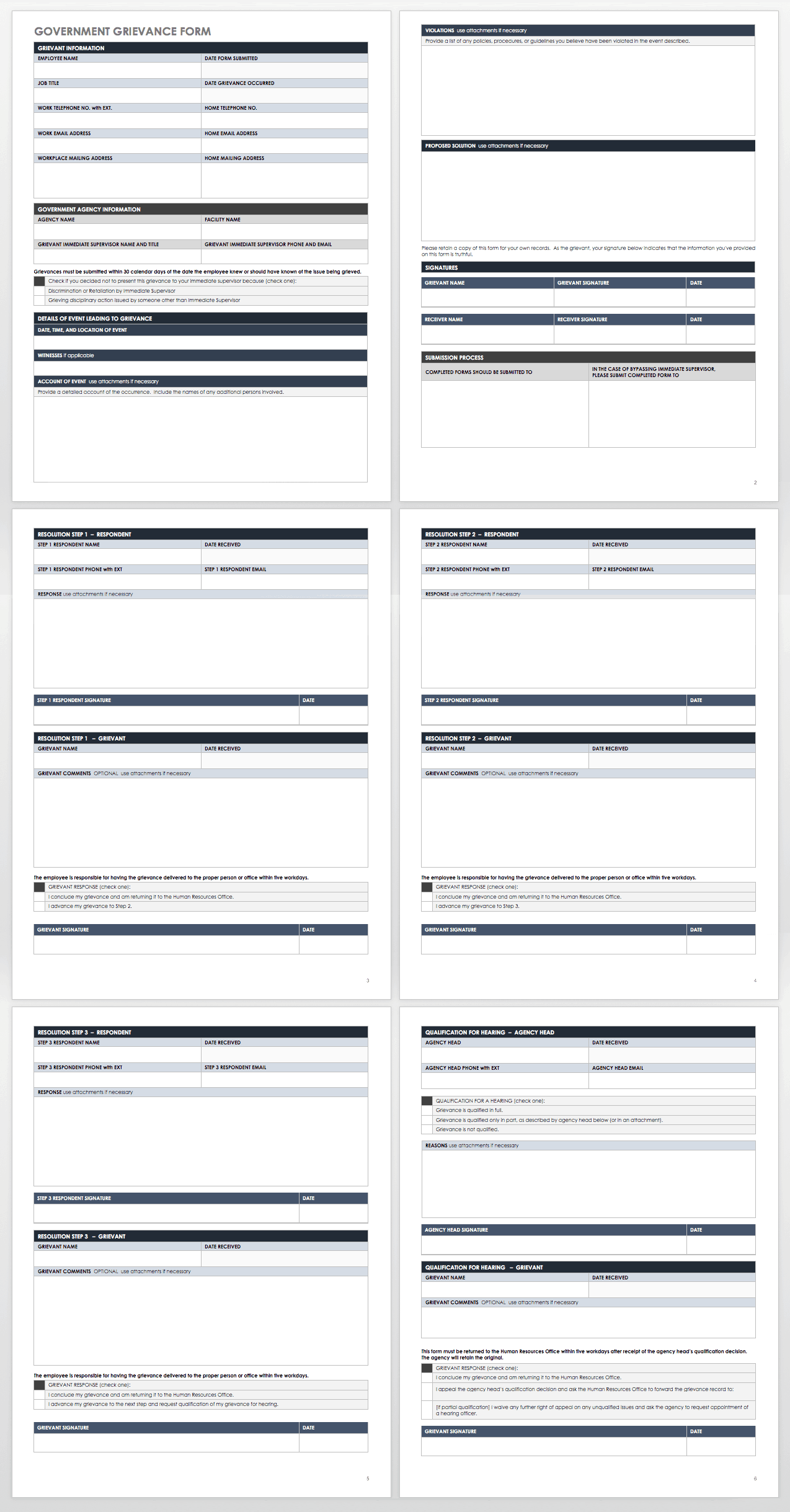 Government Grievance Template