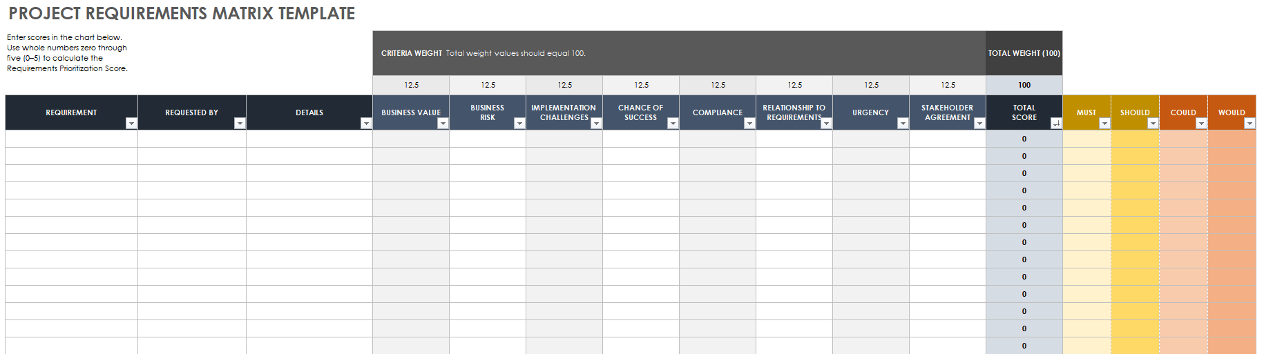 Project Requirements Matrix Template