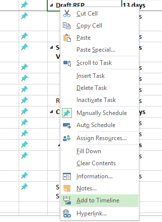 Microsoft Project timeline